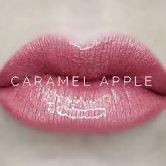 LipSense Other - Lipsense by Senegence. Shade: Caramel Apple, MIDI Purse Size, NWT. 🍁🍂🌿🪴🌱🍃